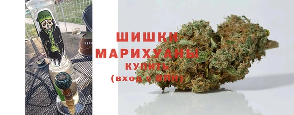 ПСИЛОЦИБИНОВЫЕ ГРИБЫ Алексеевка