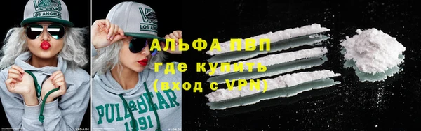 сатива Алзамай
