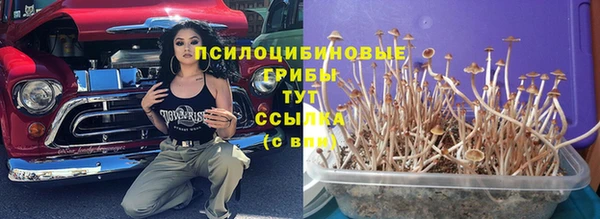 альфа пвп Михайловка