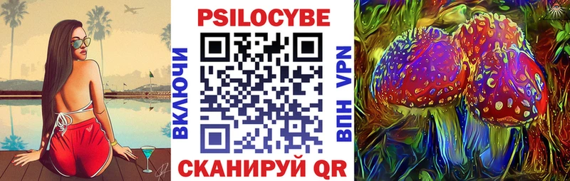 Псилоцибиновые грибы Psilocybe  Купить где  Боровичи 