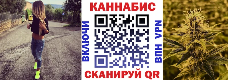 Купить  Боровичи  Канабис планчик 